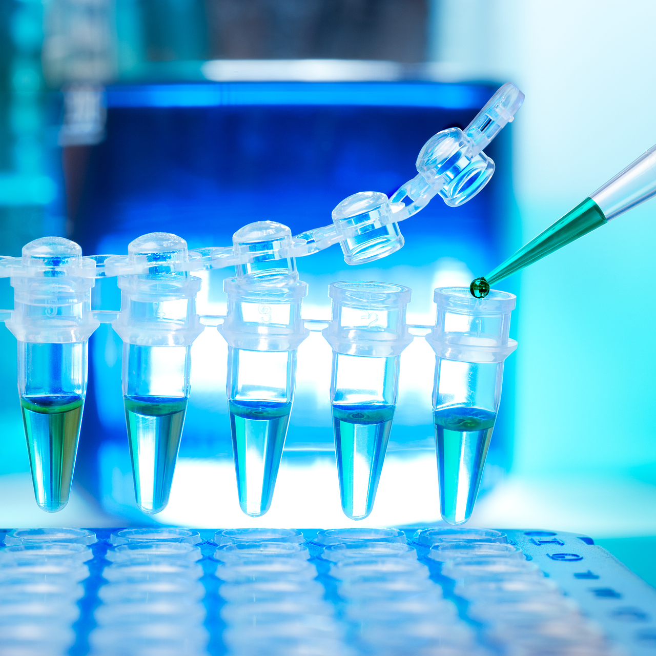 Science and Innovation Day – September 15th